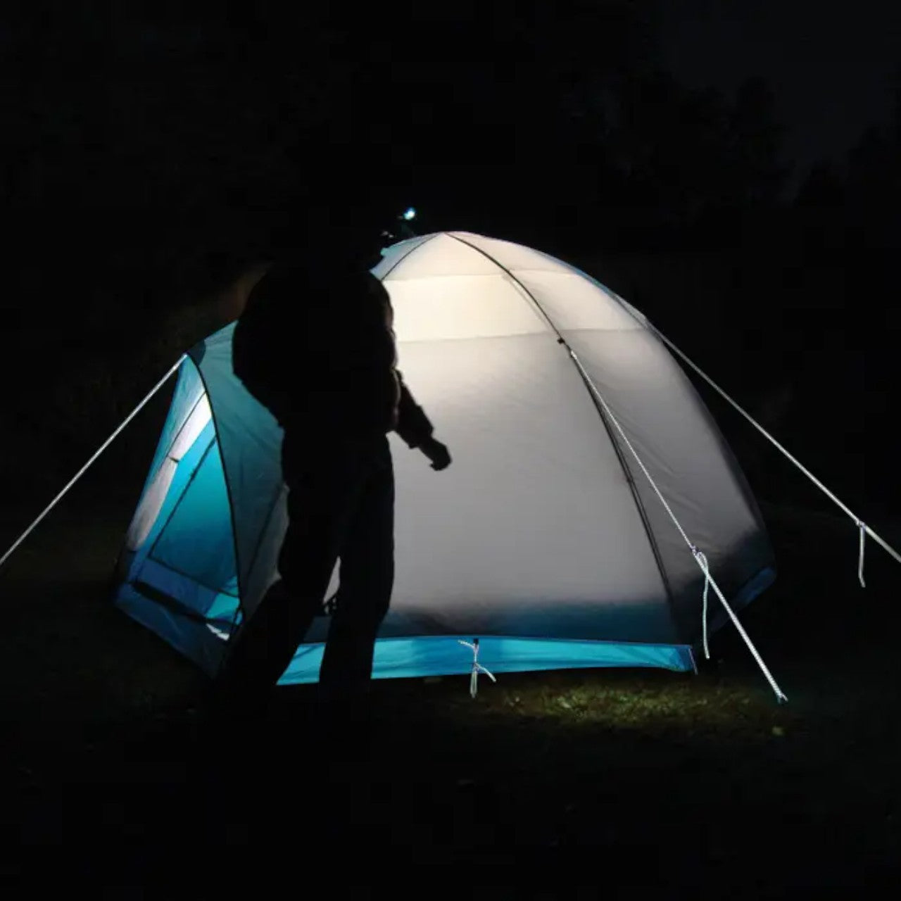 Nite Ize ShineLine Reflective Cord - 50 ft.