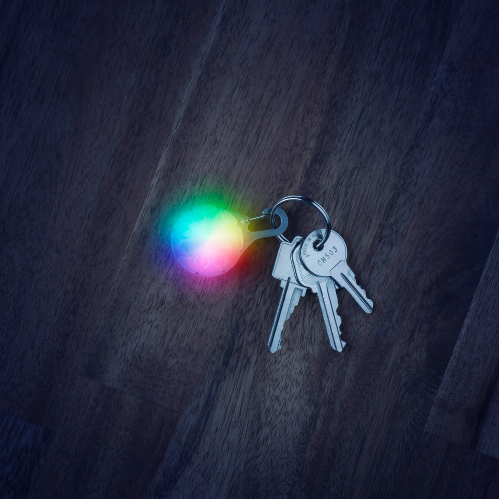 Nite Ize Spotlit Disc-O Select LED Carabiner