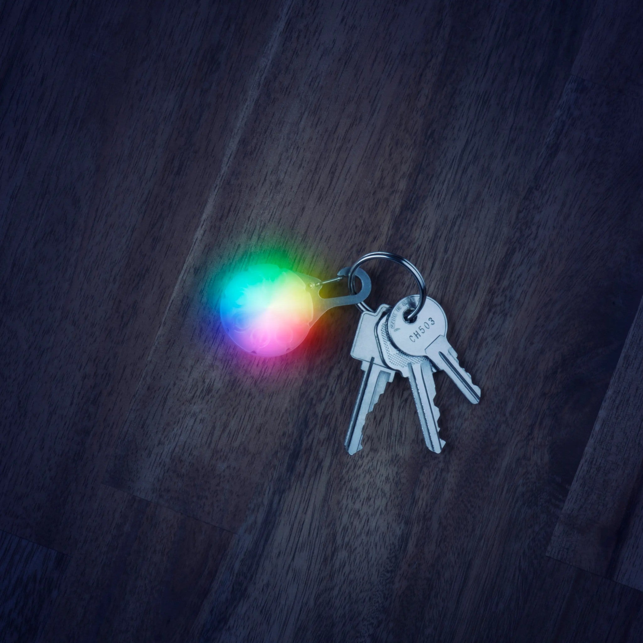 Nite Ize Spotlit Disc-O Select LED Carabiner