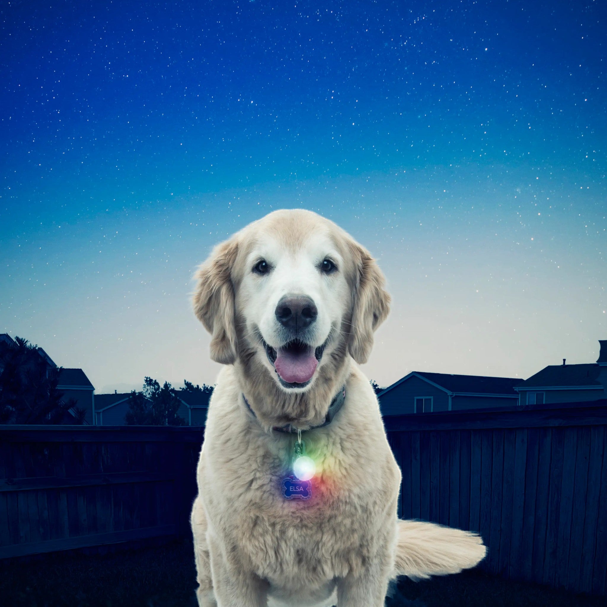 Nite Ize Spotlit Disc-O Select LED Carabiner