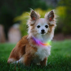 Nite Ize NiteHowl Rechargeable LED Safety Necklace