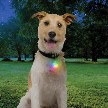 Nite Ize SpotLit Rechargeable Collar Light - FERAL