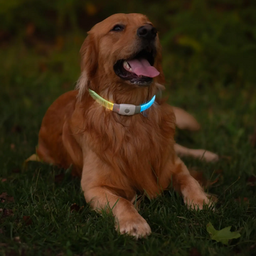 Nite Ize NiteHowl Max Rechargeable LED Safety Necklace - FERAL