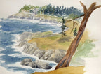 Colors Of The West: An Artist's Guide To Nature's Palette