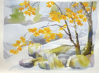 Colors Of The West: An Artist's Guide To Nature's Palette