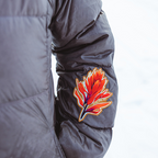 NoSo Red Paintbrush by Rachel Pohl Patch