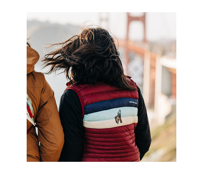 NoSo Wolf by K. Homes Patch