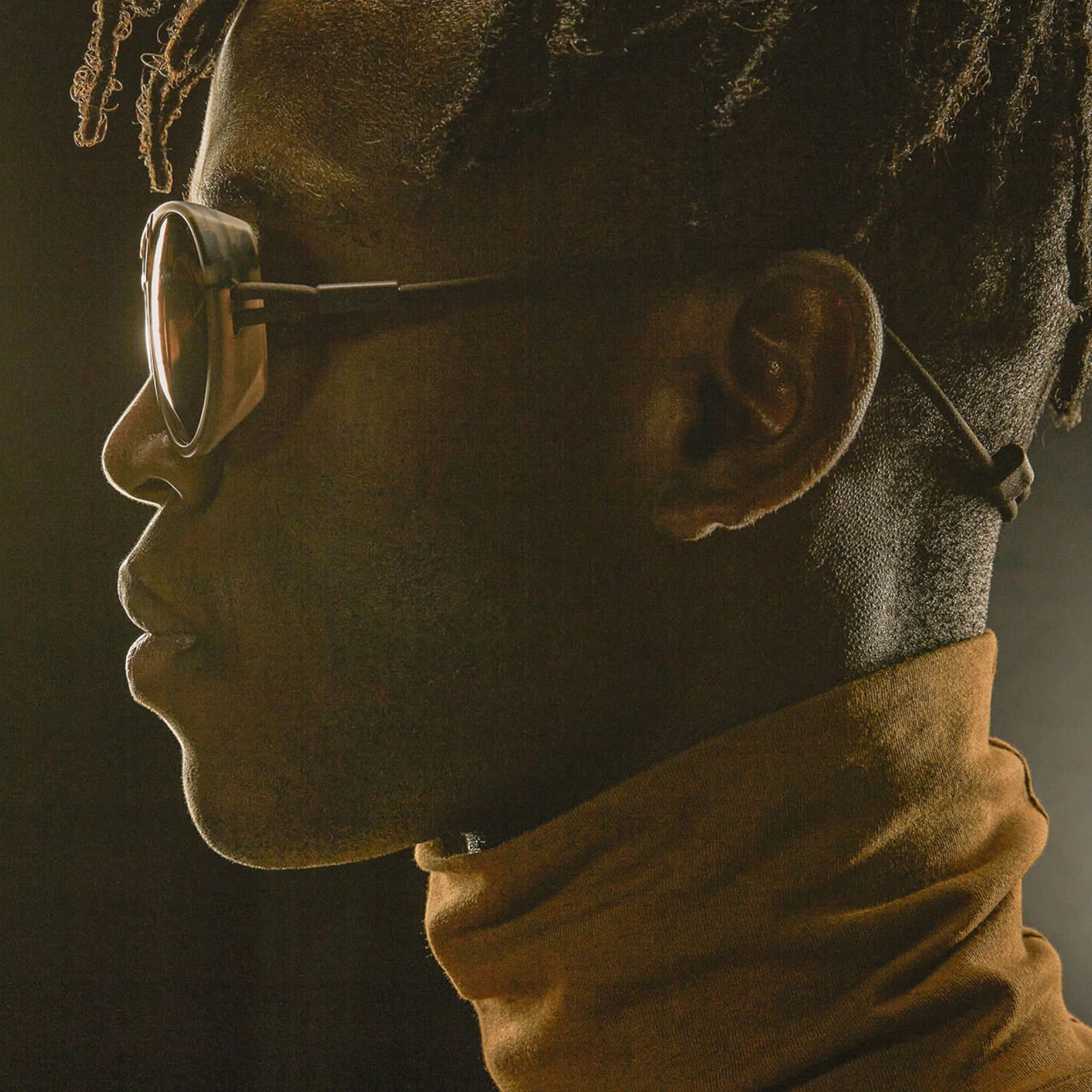 Ombraz Dolomite Polarized Sunglasses - FERAL