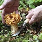 Opinel No. 8 Mushroom Knife