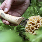 Opinel No. 8 Mushroom Knife - FERAL