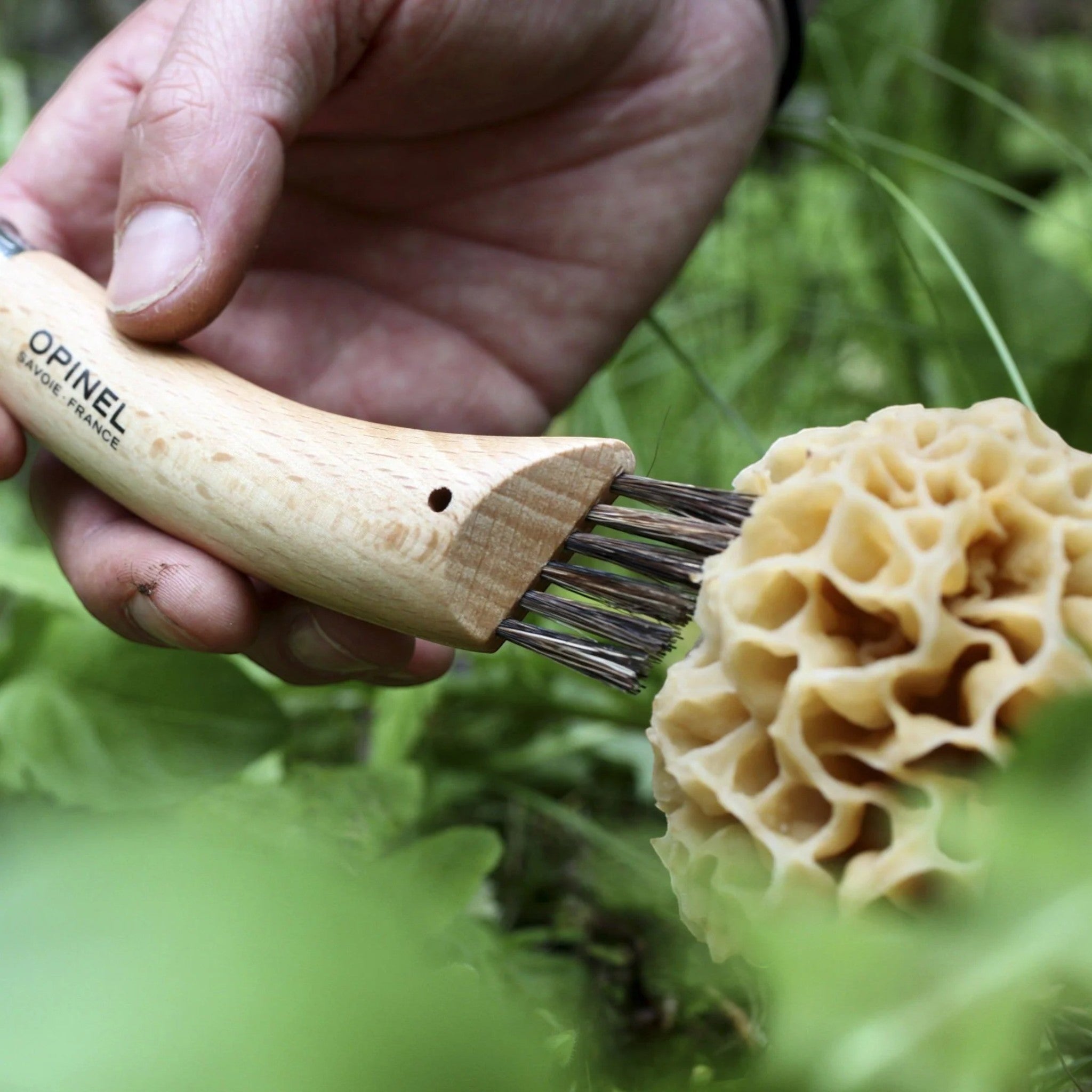 Opinel No. 8 Mushroom Knife - FERAL