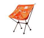 Parks Project Packable Camp Chair