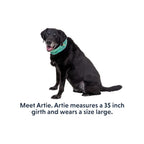 Ruffwear Swamp Cooler Cooling Dog Neck Gaiter - FERAL