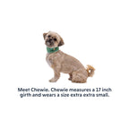 Ruffwear Swamp Cooler Cooling Dog Neck Gaiter - FERAL
