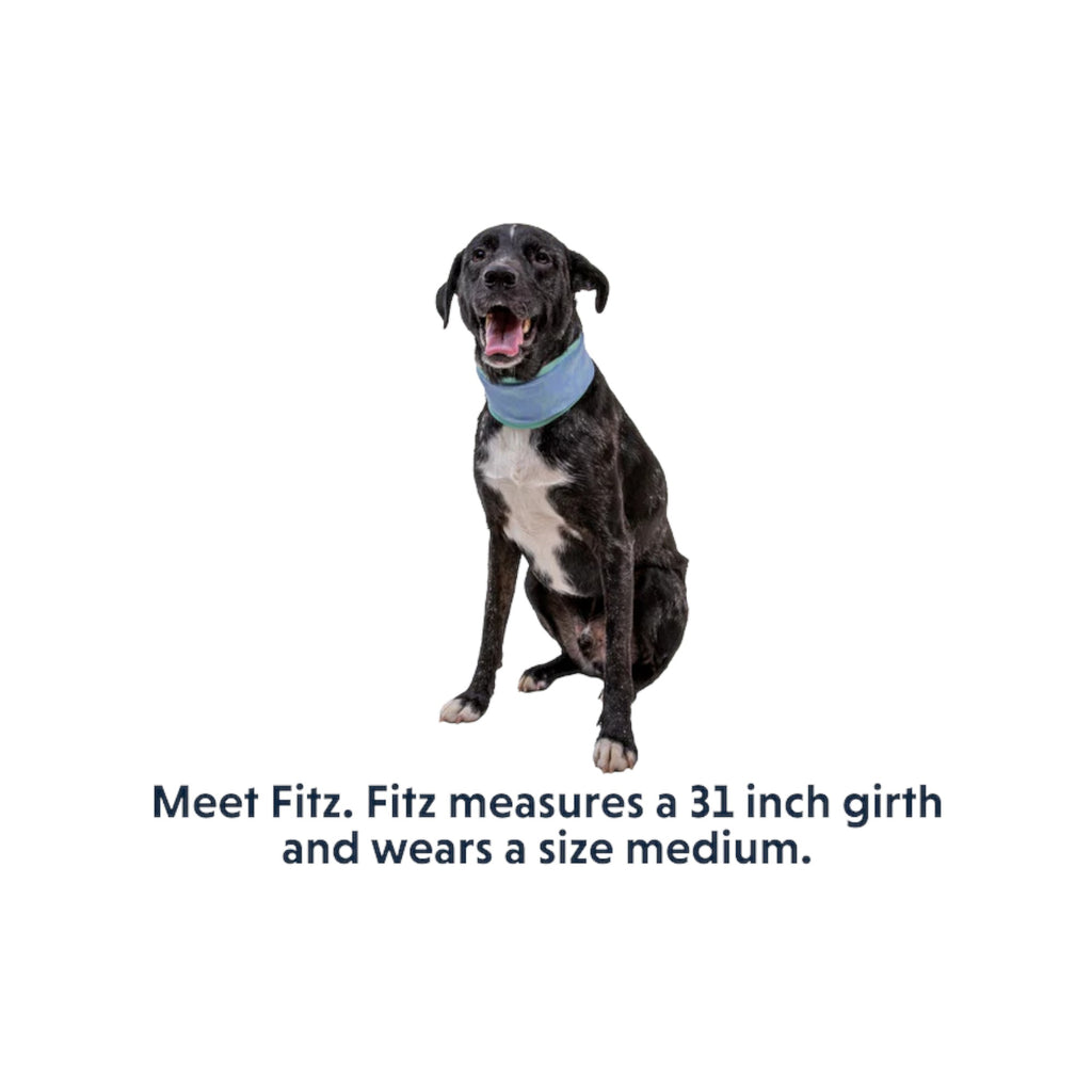 Ruffwear Swamp Cooler Cooling Dog Neck Gaiter - FERAL