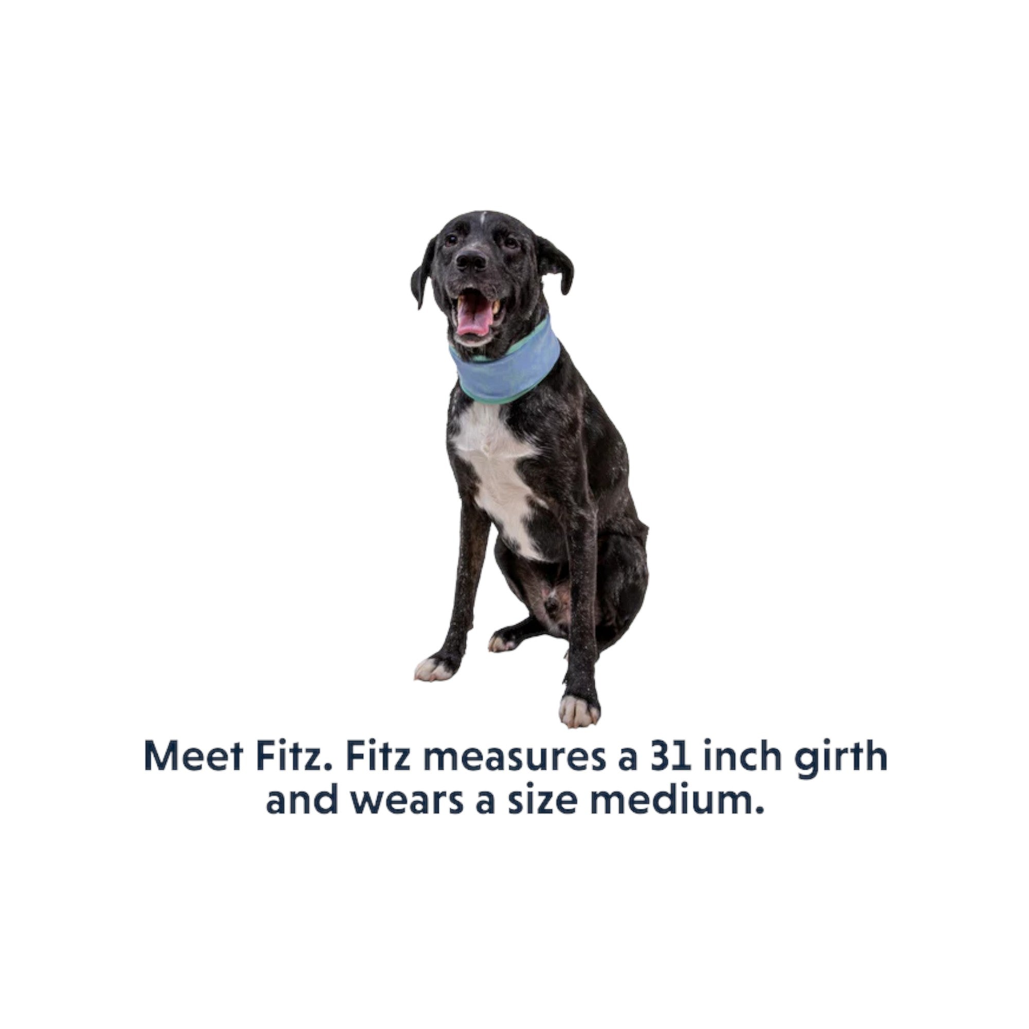 Ruffwear Swamp Cooler Cooling Dog Neck Gaiter - FERAL