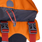Ruffwear Approach Dog Backpack - FERAL