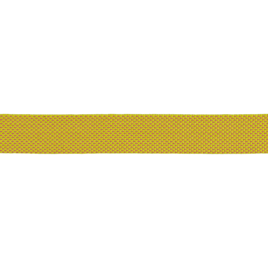 Ruffwear Hi & Light Lightweight Dog Leash - FERAL