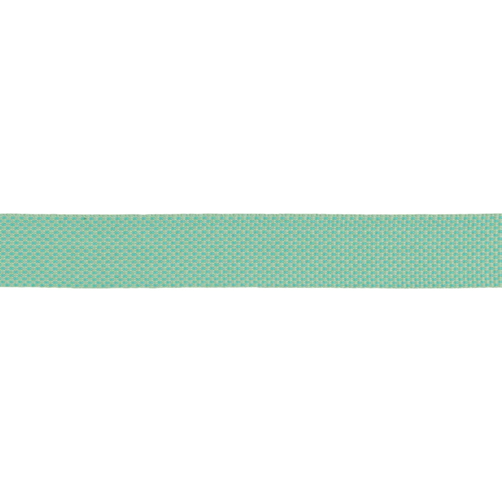 Ruffwear Hi & Light Lightweight Dog Leash - FERAL