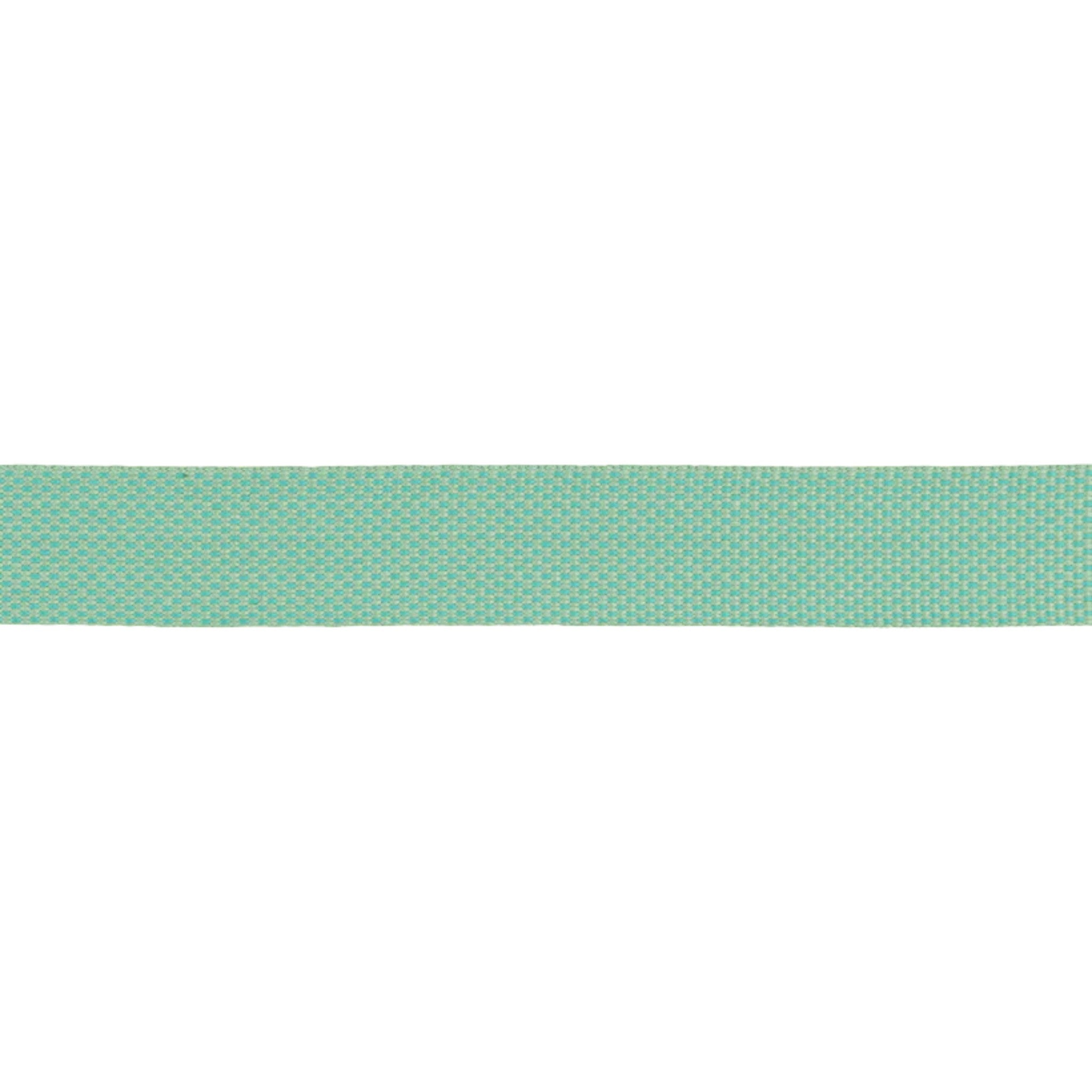 Ruffwear Hi & Light Lightweight Dog Leash - FERAL