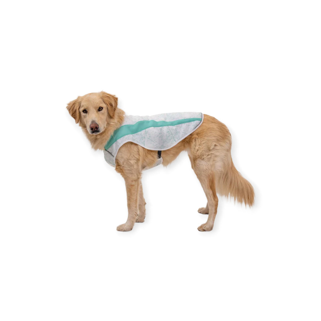 Ruffwear Swamp Cooler Cooling Dog Vest - FERAL