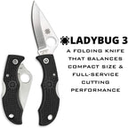 Spyderco Ladybug Black Plain Edge Knife