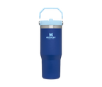 Stanley The IceFlow Flip Straw Tumbler 30 oz - FERAL