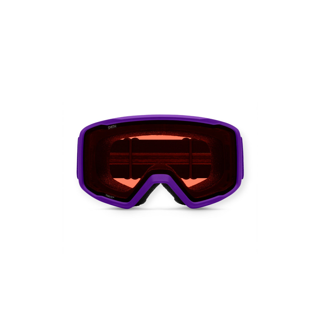 Smith Tribute Ski Goggles