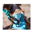 Wilderdog Harness