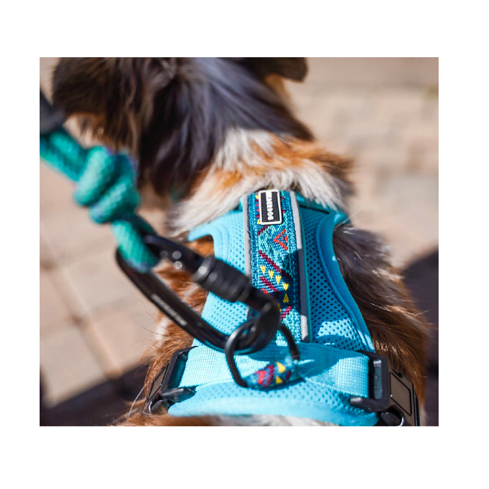 Wilderdog Harness