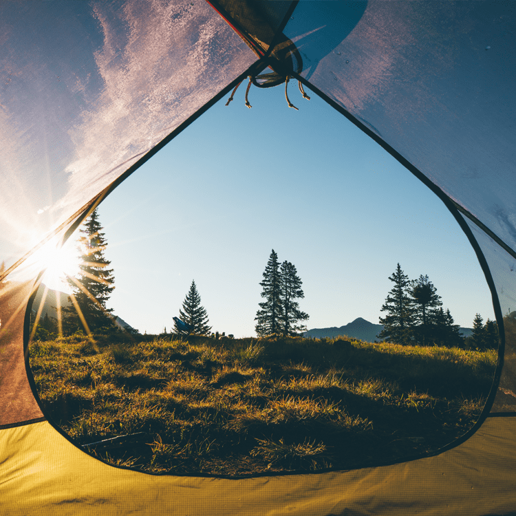 Tent Rentals