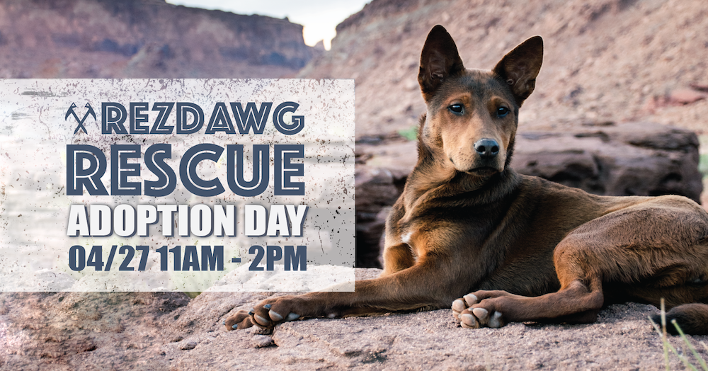 RezDawg Adoption Day at FERAL