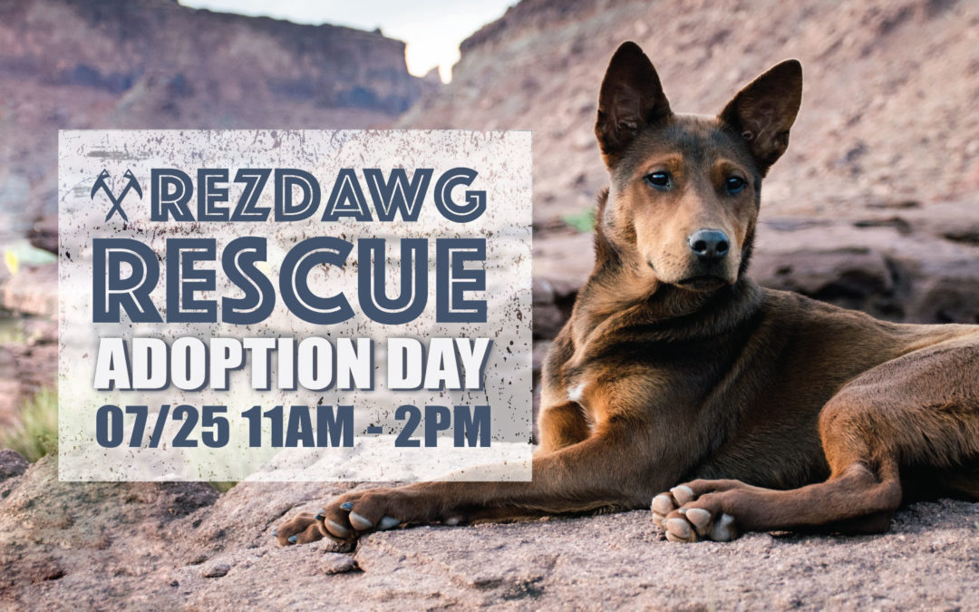 RezDawg Adoption Day at FERAL