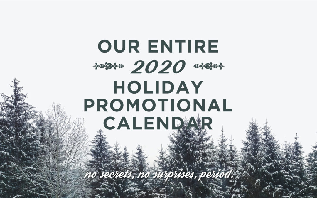 December 2020 Promotional Schedule Reveal